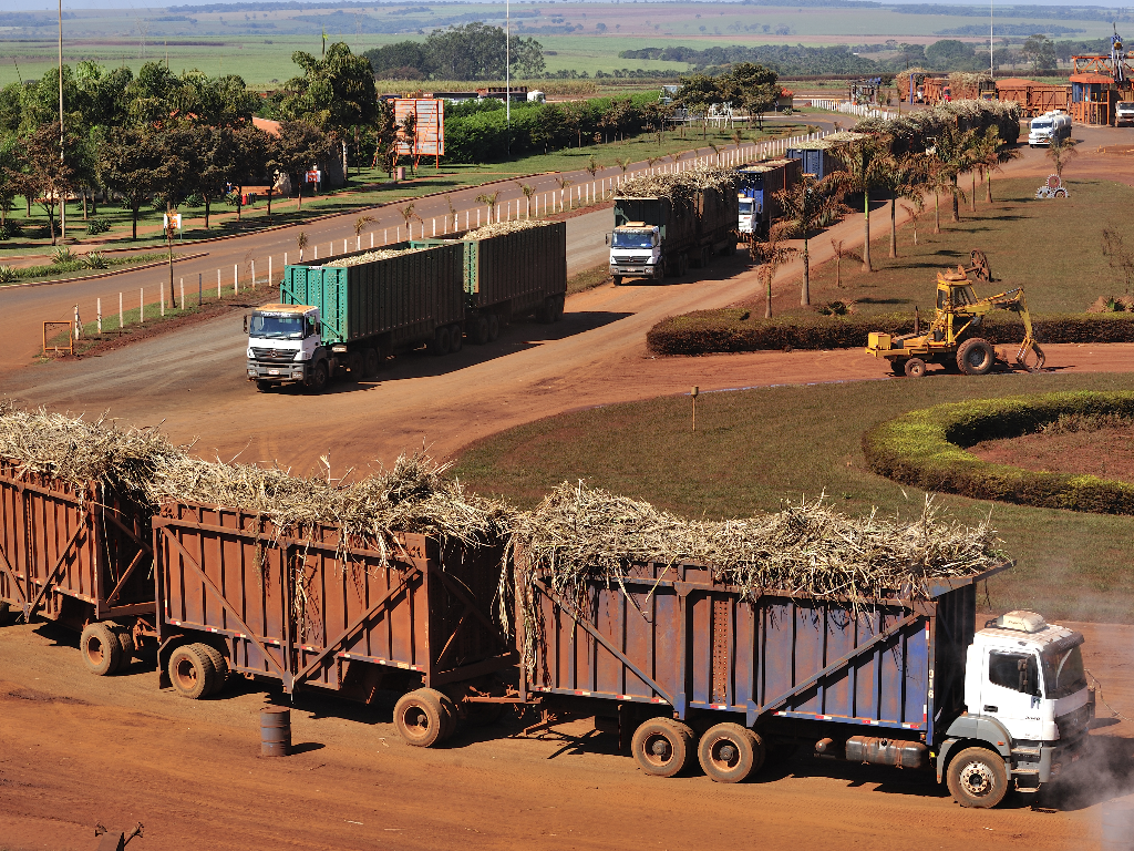 Press Review - Millers Decry Losses As Glut Crashes Sugar Prices